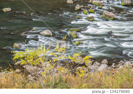 初冬の木津川風景　京都府笠置町 134278080