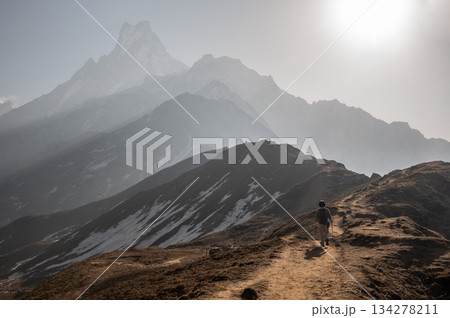 Tourist walking to Mardi Himal base camp with beautiful view of Mt.Machapuchare inthe background. 134278211