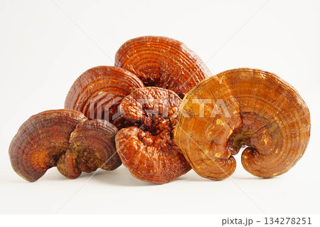 Lingzhi or Reishi mushroom with capsules, organic natural healthy food. 134278251