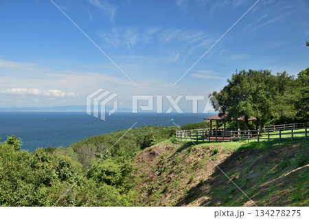 深山砲台跡から加太の瀬戸・淡路島を望む 【和歌山県和歌山市】 深山砲台跡から加太の瀬戸・淡路島を望む 【和歌山県和歌山市】 134278275