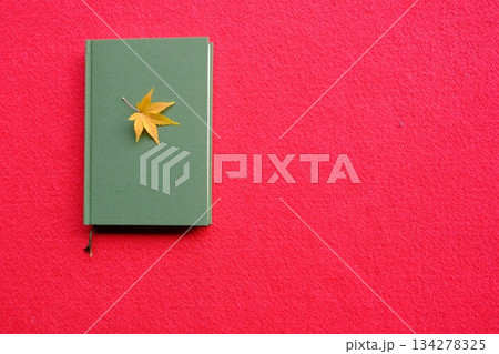 もみじと読書のイメージ素材 134278325