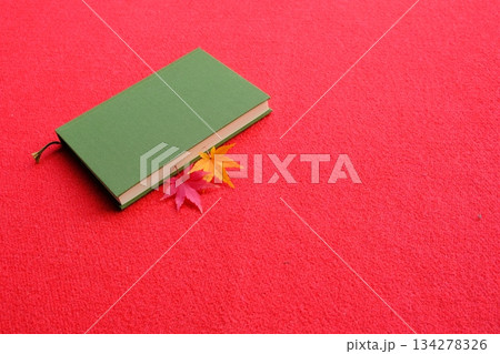 もみじと読書のイメージ素材 もみじと読書のイメージ素材 134278326