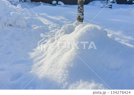 朝陽に照らされる木の下の雪だまり 134278424