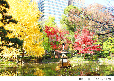 日比谷公園の紅葉 134278476