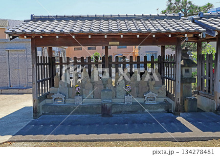 妙厳寺（戸田） 134278481