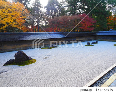 龍安寺の秋 龍安寺の秋 134278519