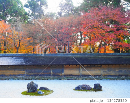 龍安寺の秋 龍安寺の秋 134278520