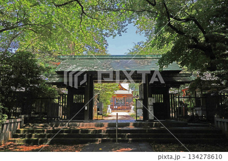 根村氷川神社(板橋) 根村氷川神社(板橋) 134278610
