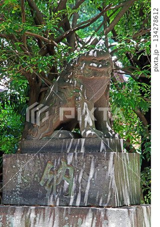 根村氷川神社(板橋) 根村氷川神社(板橋) 134278612