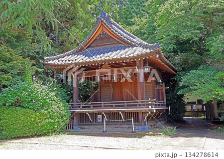 根村氷川神社(板橋) 根村氷川神社(板橋) 134278614