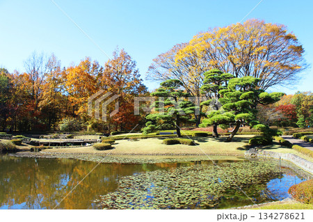 江戸城　二の丸庭園 134278621