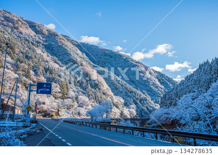 雪化粧した中山七里【岐阜県 下呂市 飛騨川沿い】 134278635