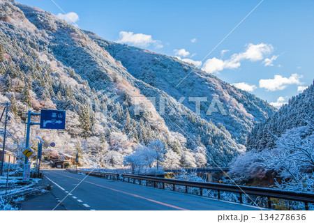 雪化粧した国道41号線 下呂市七里橋周辺【岐阜県 下呂市 飛騨川沿い】 134278636