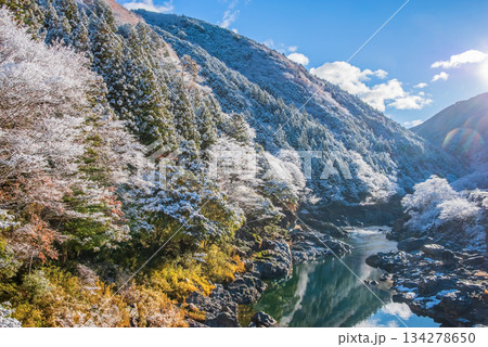 雪化粧した中山七里【岐阜県 下呂市 飛騨川沿い】 134278650