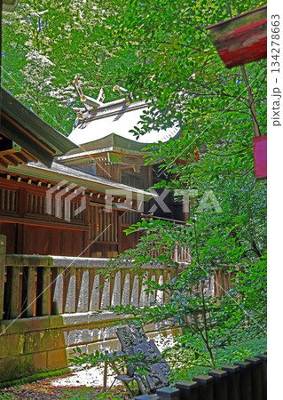 根村氷川神社(板橋) 根村氷川神社(板橋) 134278663