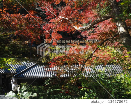 嵯峨野鳥居本の秋 134278672