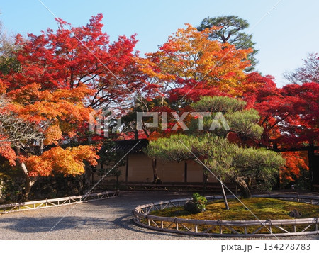 秋の嵯峨野二尊院 134278783