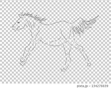 美しい馬の全身のシンプルでリアルな線画イラスト 134278839