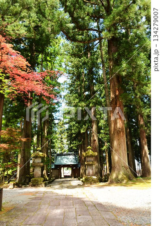 新潟県南魚沼市雲洞庵参道風景 134279007