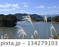 すすき 134279103