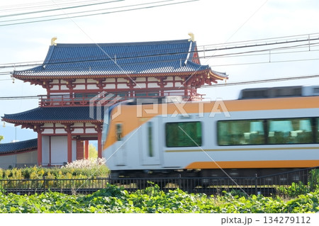 平城宮朱雀門と通過する電車 134279112
