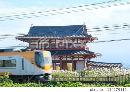 平城宮朱雀門と通過する電車 134279113
