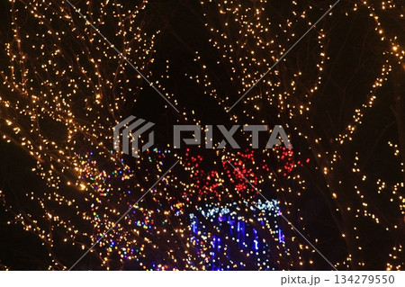 町民の森公園イルミネーション2025(12.7) 流れる「滝」をさらに包む込む大木のデコレーション 町民の森公園イルミネーション2025(12.7) 流れる「滝」をさらに包む込む大木のデコレーション 134279550