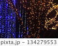 流れる｢滝｣をさらに包む込む大木のデコレーション 町民の森公園イルミネーション2025(12.7) 134279553