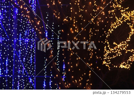 流れる｢滝｣をさらに包む込む大木のデコレーション 町民の森公園イルミネーション2025(12.7) 134279553