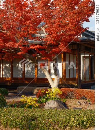 須磨離宮公園の日本庭園の紅葉 134279626