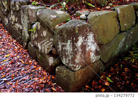 苔むした古い石垣 苔むした古い石垣 134279772