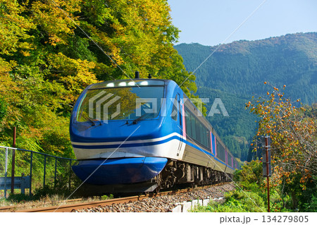 秋を走る 134279805