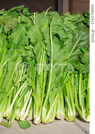 軒先でしんなりさせる収獲したばかりの野沢菜 134279869