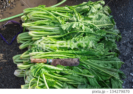 お菜洗い直前のお菜と菜切包丁 134279870