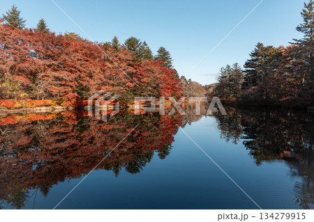 [長野県]軽井沢・雲場池の紅葉と水鏡 134279915