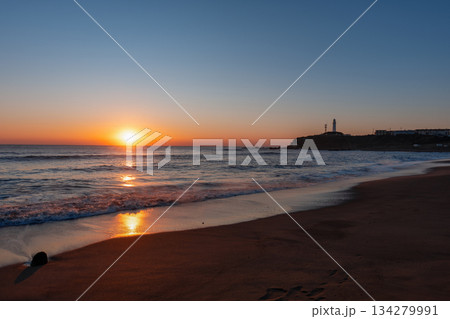 [千葉県]犬吠埼灯台・君ヶ浜しおさい公園の日の出 134279991
