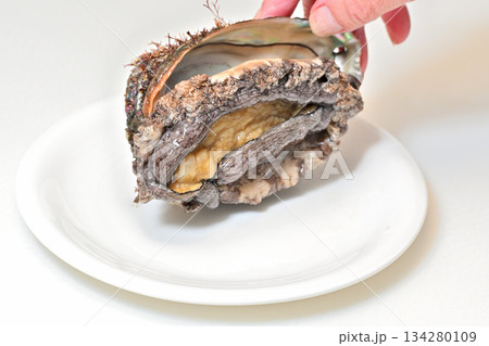 白い皿に載せたアワビ(三陸産) 白い皿に載せたアワビ(三陸産) 134280109