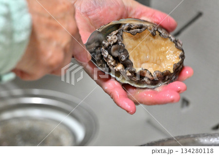 アワビの外し方(三陸産) アワビの外し方(三陸産) 134280118
