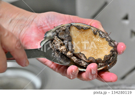 アワビの外し方（三陸産） 134280119