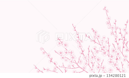梅の枝の線画 134280121