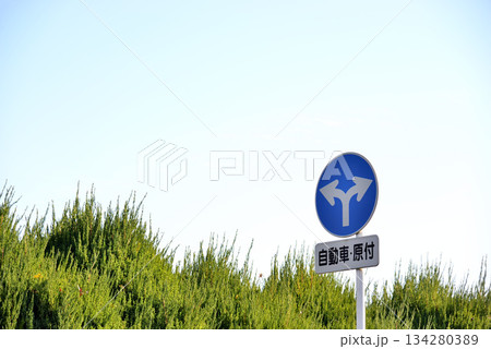 道路標識 指定方向外進行禁止 道路標識 指定方向外進行禁止 134280389