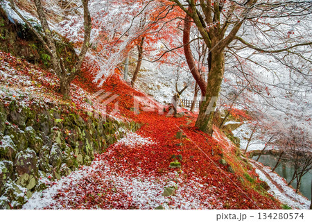 雪化粧した落ち葉の散策路「下呂 考子ケ池」《岐阜県 下呂市》 134280574