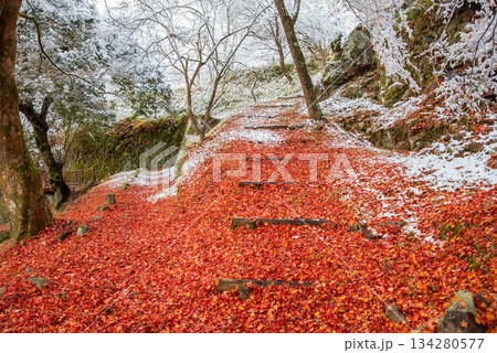 雪化粧した落ち葉の散策路「下呂 考子ケ池」《岐阜県 下呂市》 134280577
