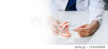 Dentist sitting at table with jaw samples tooth model and working with tablet and laptop. professional dental clinic. 134280680