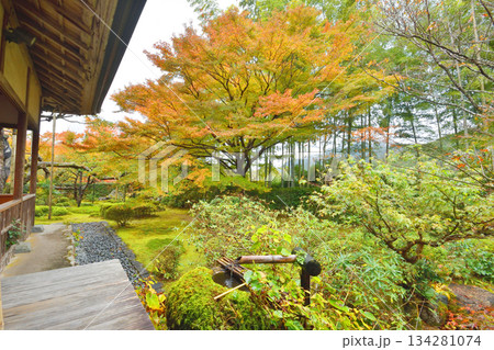 宝泉院の紅葉 宝泉院の紅葉 134281074
