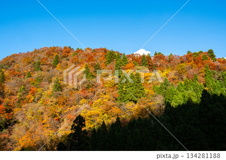 芦津渓谷の紅葉　鳥取県八頭郡智頭町 134281188