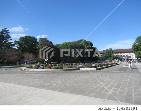 上野公園　噴水広場付近 134281191