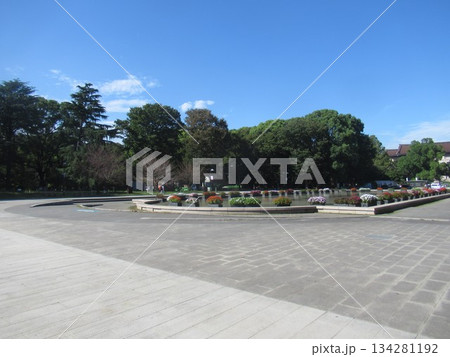 上野公園　噴水広場付近 134281192