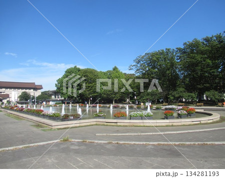 上野公園　噴水広場付近 134281193
