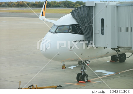 旅客機 134281308